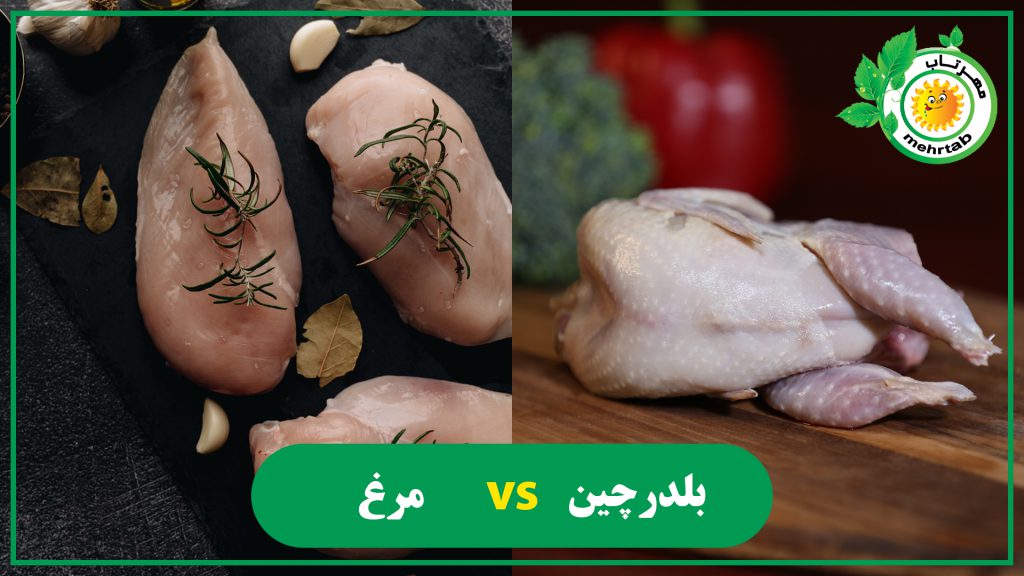 گوشت بلدرچین یا گوشت مرغ؟